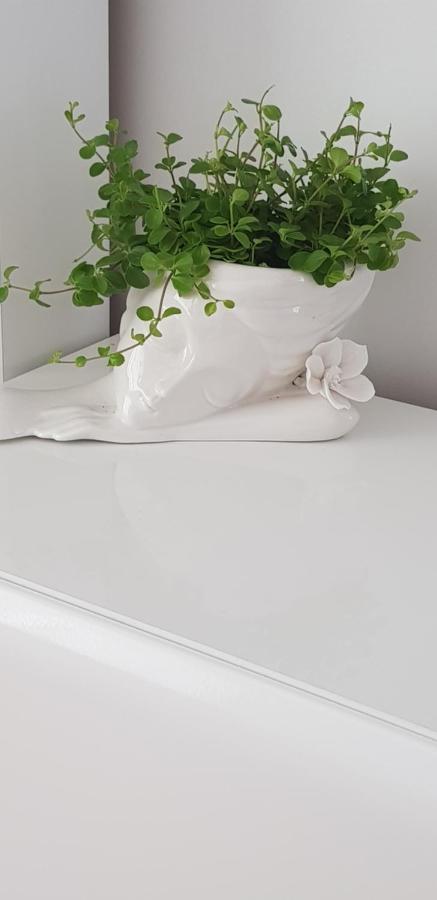 Petro Delux Apartments Center Каунас Екстериор снимка